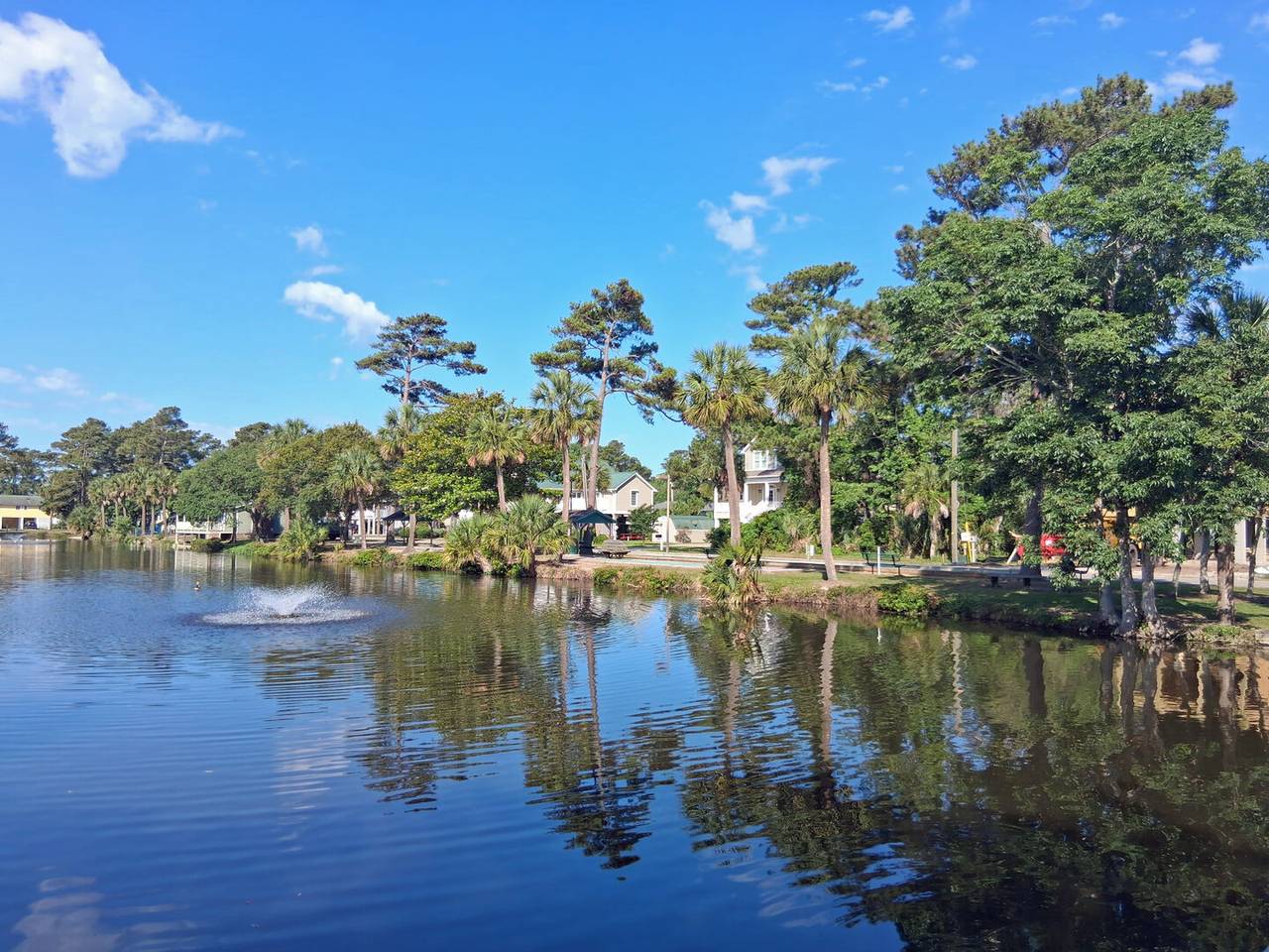 neighborhood1